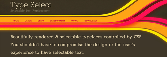 TypeSelect Screen Shot